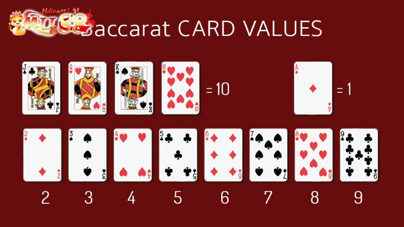 Các thuật ngữ quan trọng khi chơi Baccarat